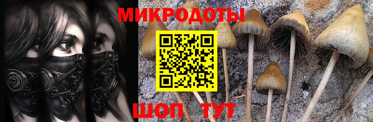 Галлюциногенные грибы Psilocybe  Вход с VPN  Белореченск 